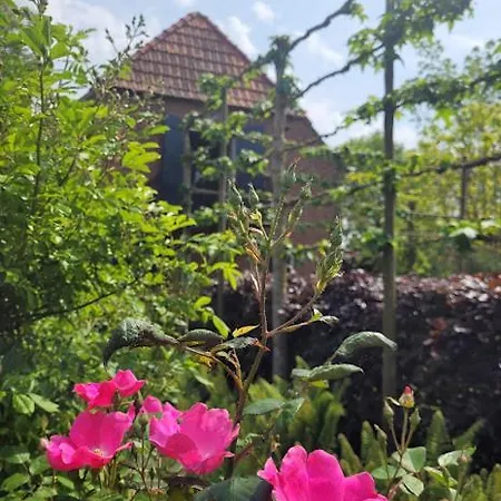 公寓 Nok Bij Den Bosch *