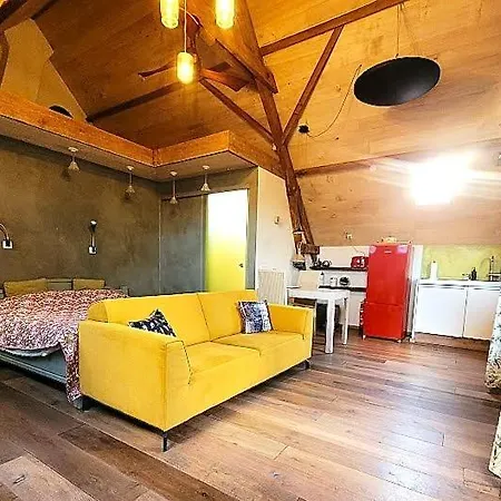 Nok Bij Den Bosch Den Dungen