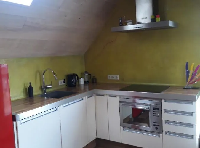 Nok Bij Den Bosch * Den Dungen