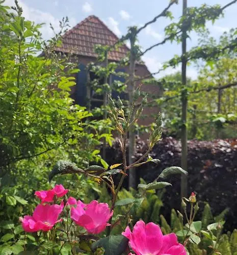 Apartment Nok Bij Den Bosch *