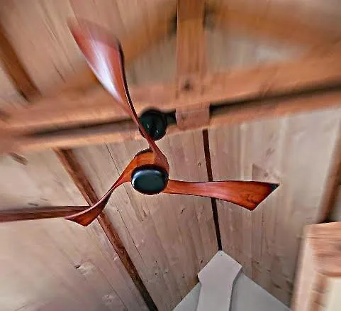 Nok Bij Den Bosch * Den Dungen