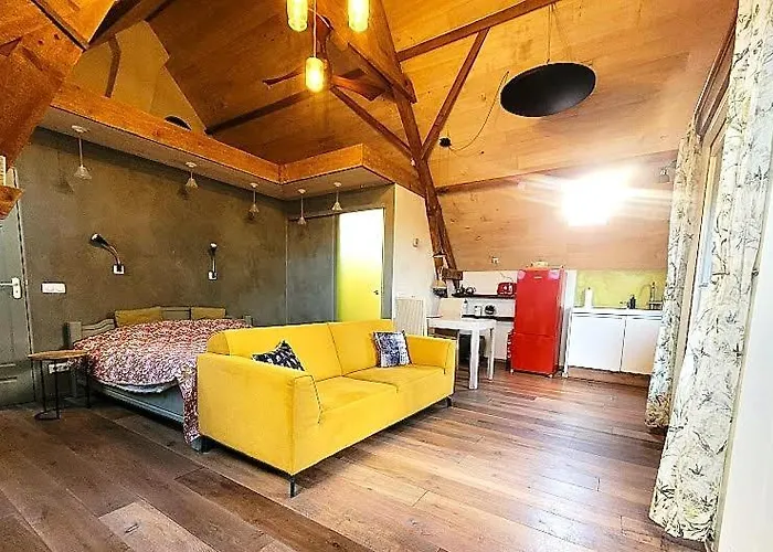 Nok Bij Den Bosch Den Dungen