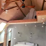 Nok Bij Den Bosch